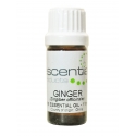 Ginger Essential OIl, 11ml