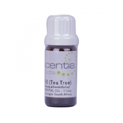 Tea Tree (T-Tree) Essential Oil, 11ml